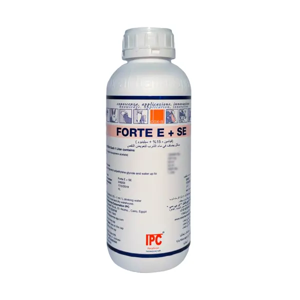 FORTE  E+SE