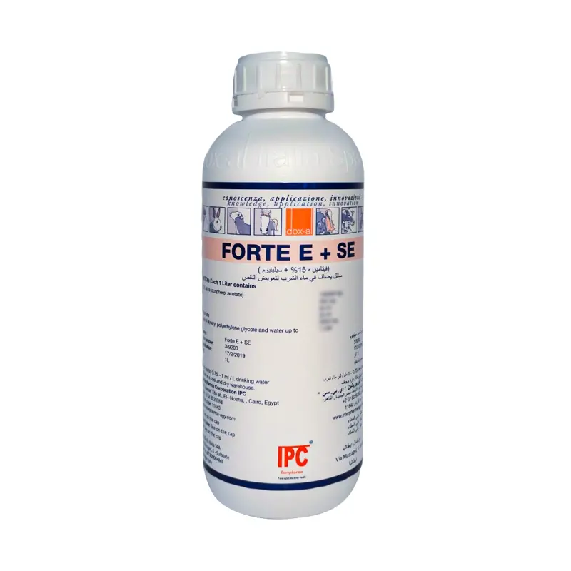 FORTE  E+SE