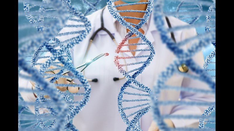 دمج الخضروات العضوية في نظامك الغذائي