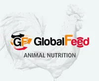 GlobalFeed
